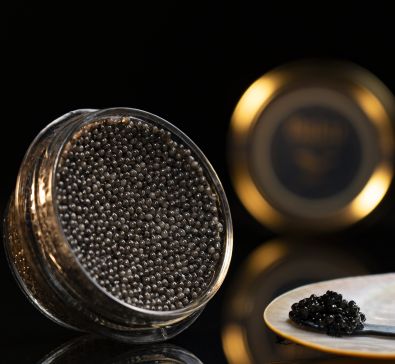 How to Distinguish Fake Caviar from Natural One | baku-caviar