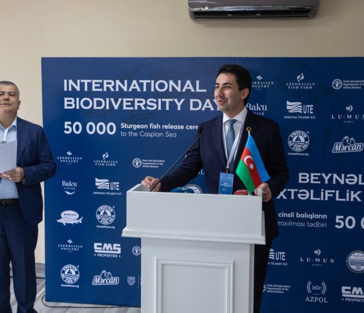 50,000 sturgeon released into the Caspian Sea by Azerbaijan fish farm to mark International Day for Biological Diversity. | baku-caviar