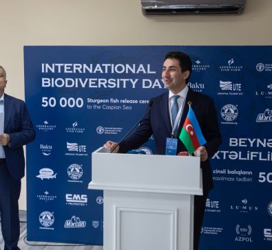 50,000 sturgeon released into the Caspian Sea by Azerbaijan fish farm to mark International Day for Biological Diversity. | baku-caviar