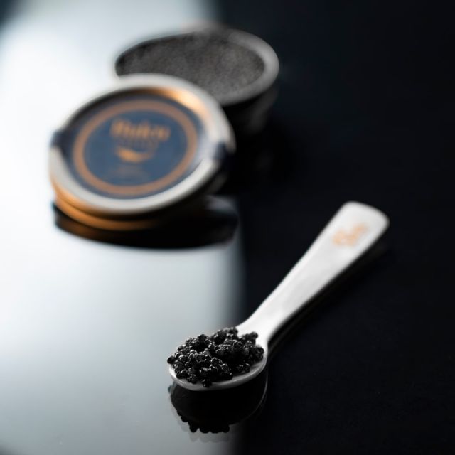 Osetra | baku-caviar