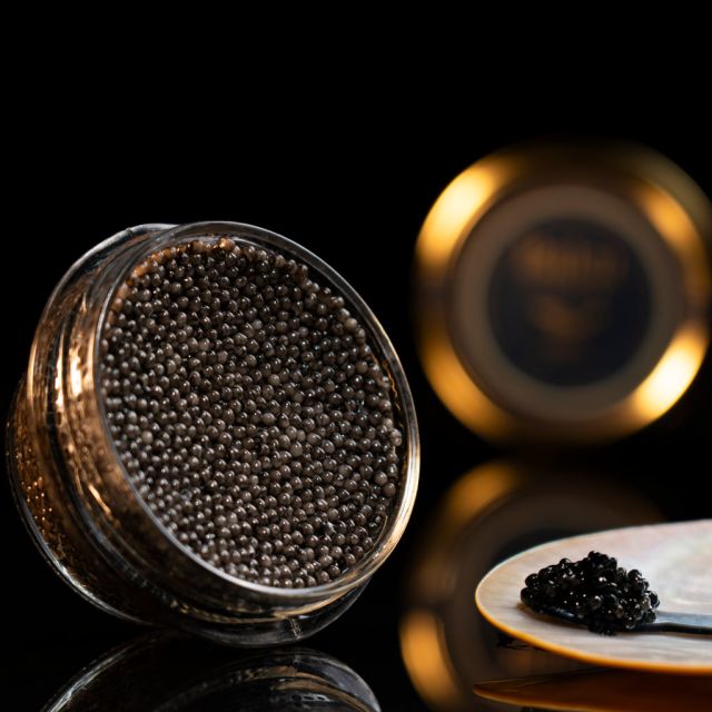 Beluga Huso Huso | baku-caviar